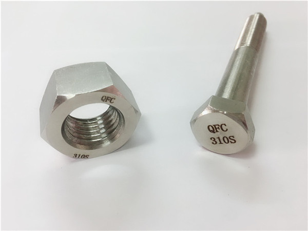 china screw at nut ss310s